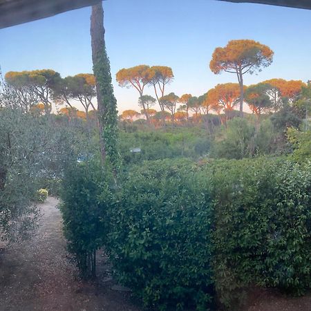 Hotel Grifone Principina a Mare Dış mekan fotoğraf