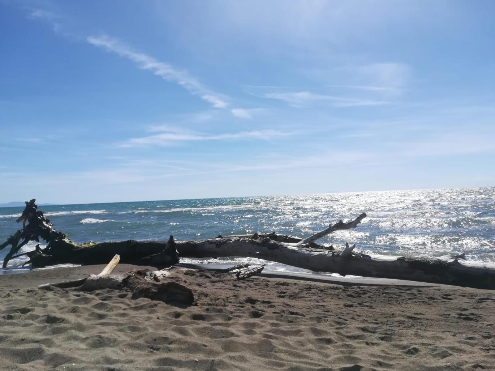 Hotel Grifone Principina a Mare Dış mekan fotoğraf