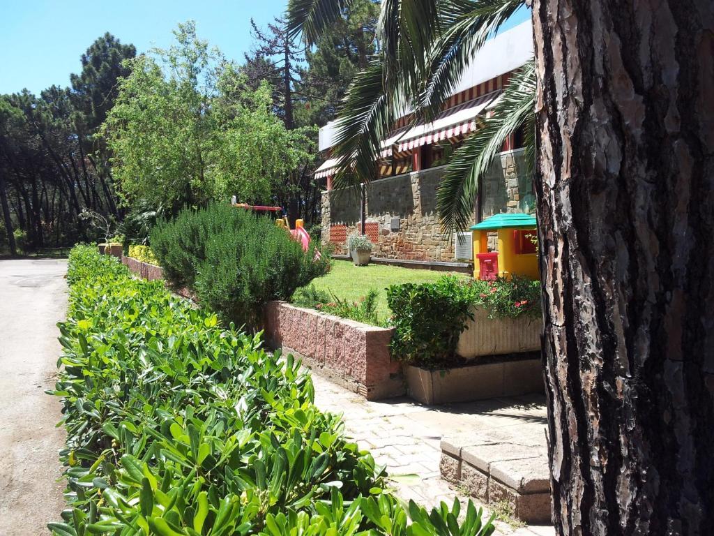Hotel Grifone Principina a Mare Dış mekan fotoğraf