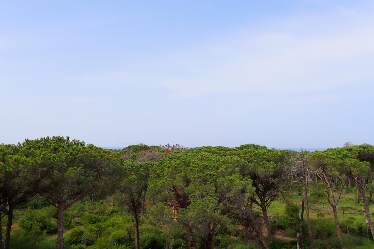 Hotel Grifone Principina a Mare Dış mekan fotoğraf